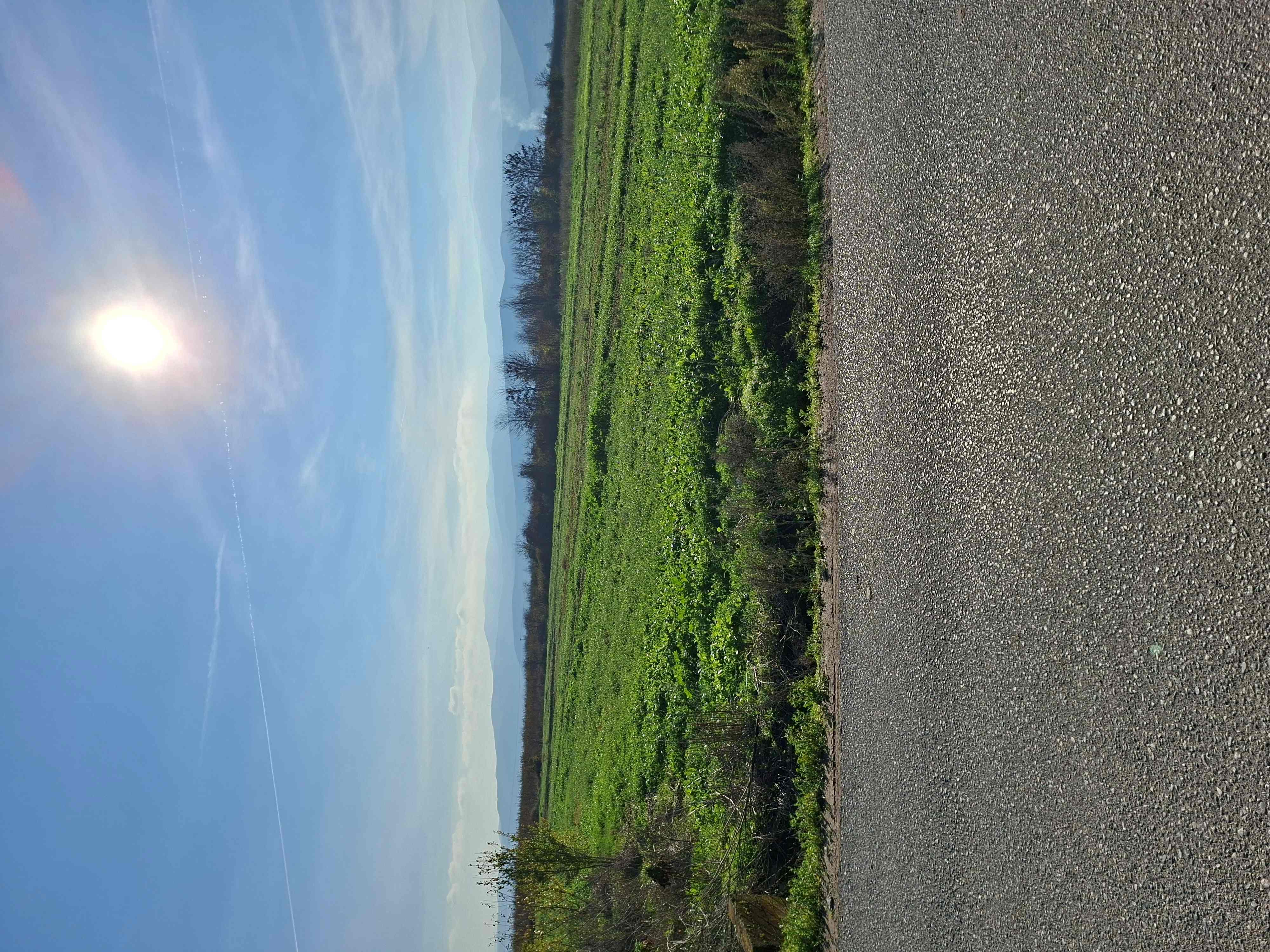 Αγροτεμάχιο 760 sq.m. σε πλειστηριασμό Municipality of Heroic City of Naoussa