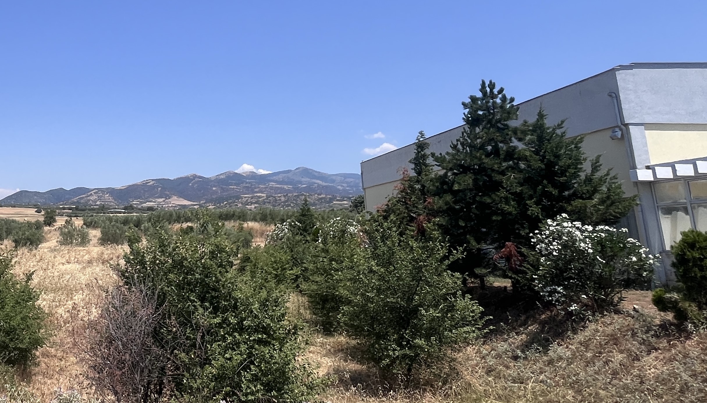 Αγροτεμάχιο  σε πλειστηριασμό Δήμος Ηρακλείας