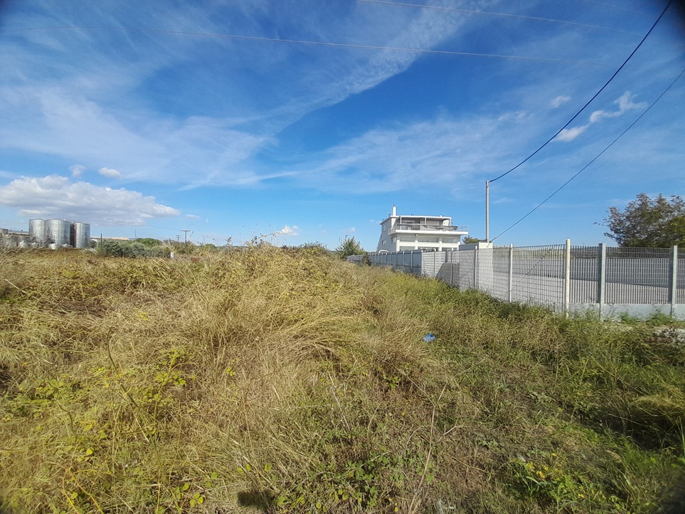 Αγροτεμάχιο 841.81 sq.m. σε πλειστηριασμό Municipality of Kymi - Aliveri