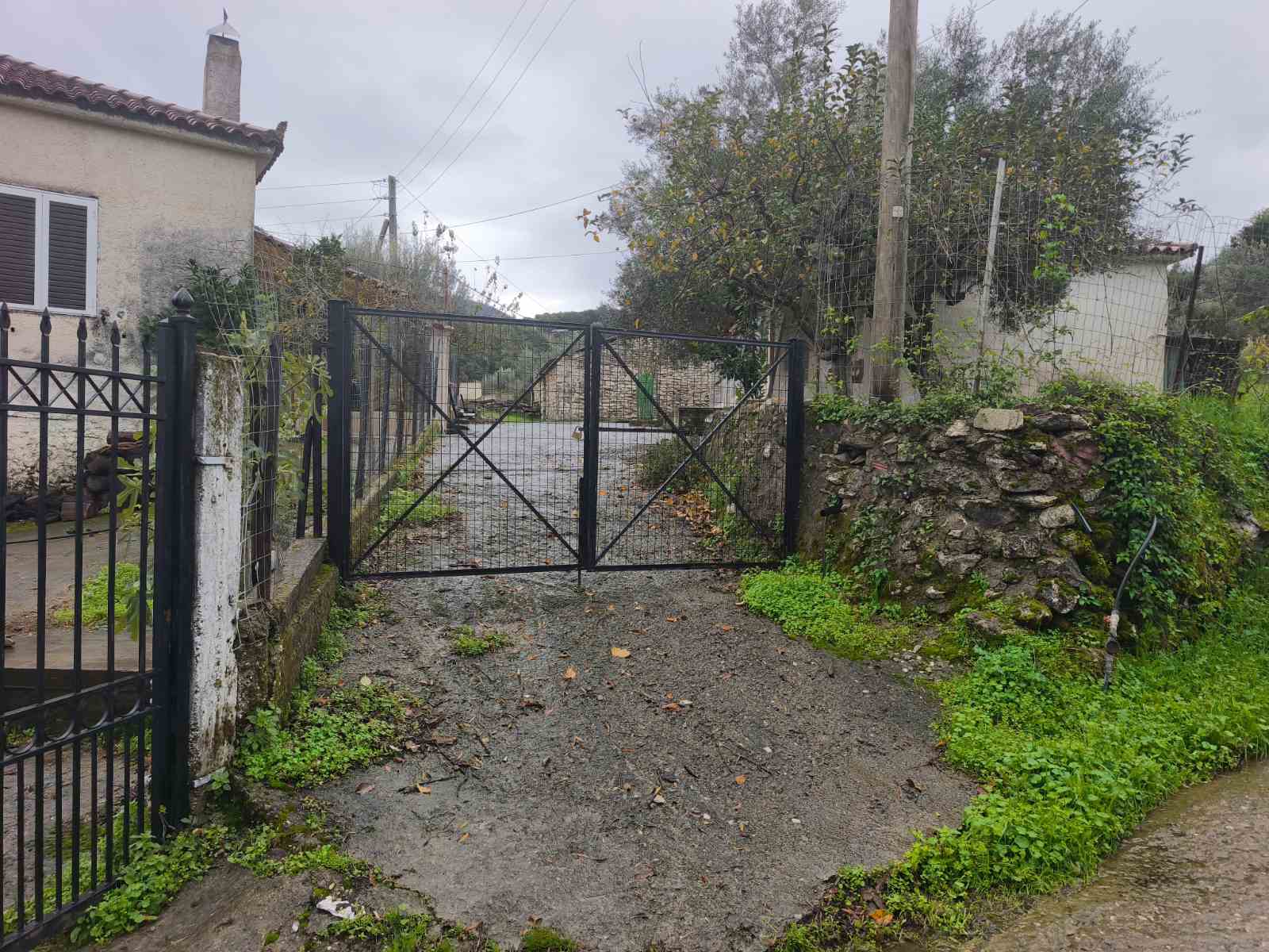 Οικόπεδο  σε πλειστηριασμό Municipality of Andritsaina - Krestena