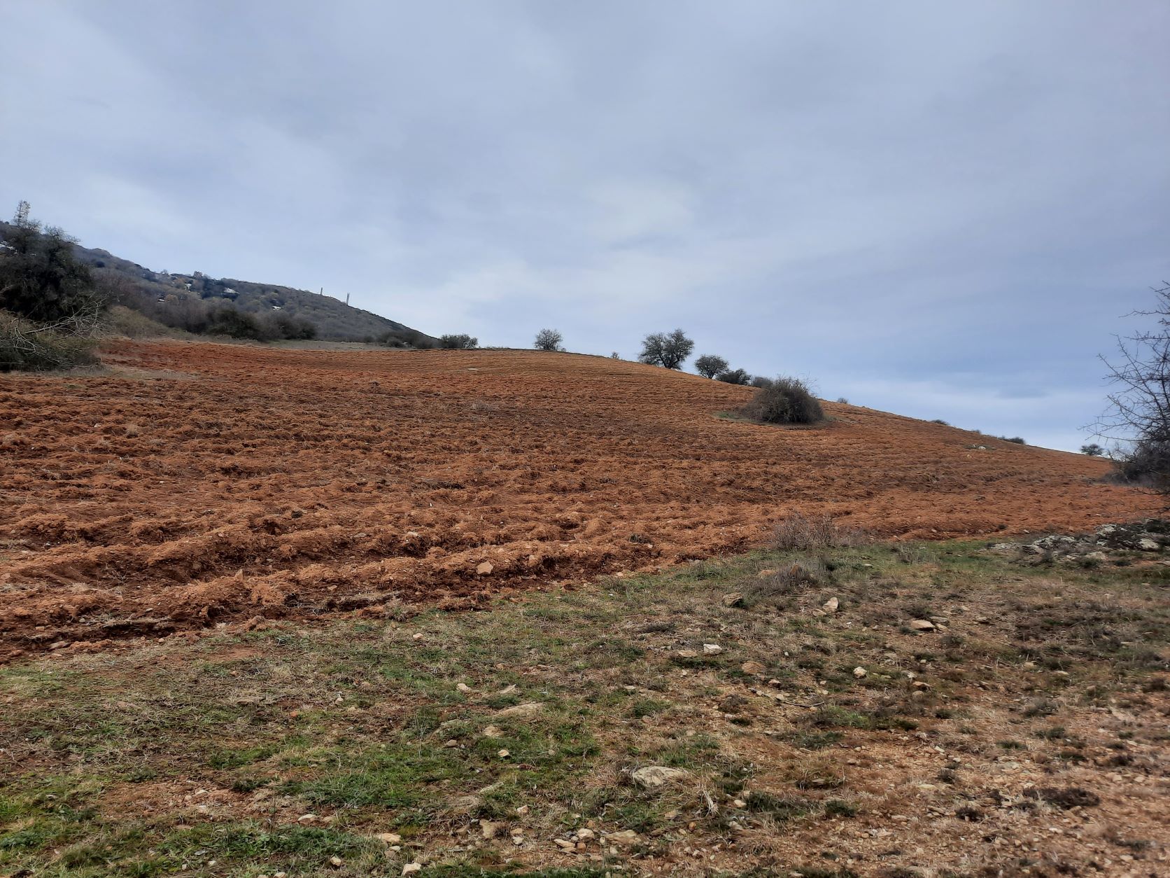 Αγροτεμάχιο  σε πλειστηριασμό Δήμος Πυλαίας - Χορτιάτη