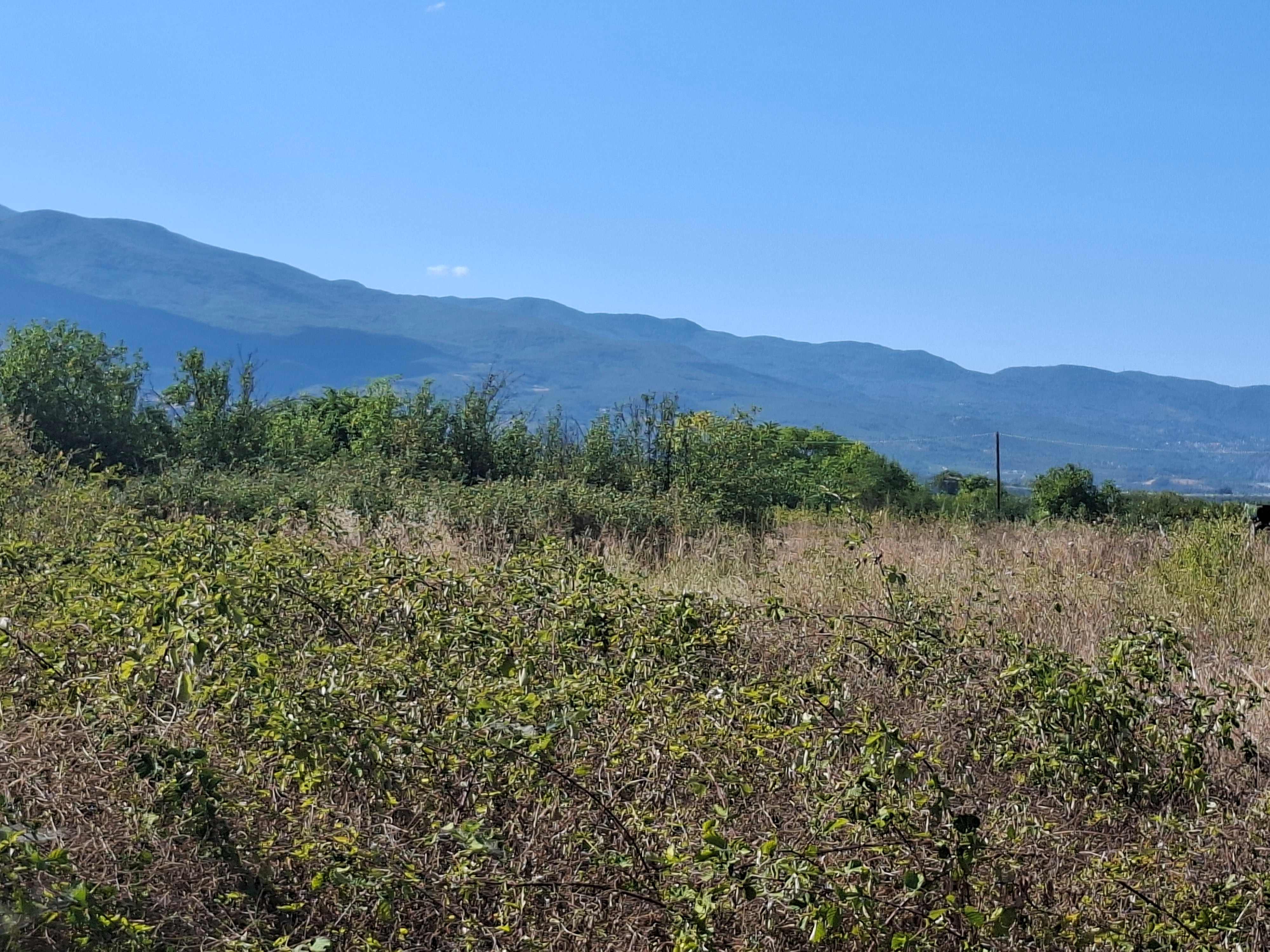 Οικόπεδο  σε πλειστηριασμό Municipality of Heroic City of Naoussa