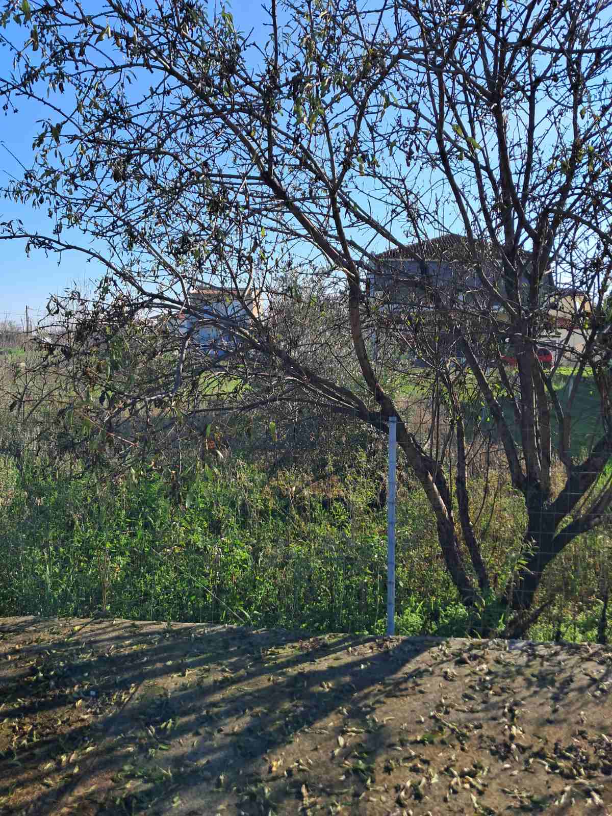 Οικόπεδο  σε πλειστηριασμό Municipality of Larissa