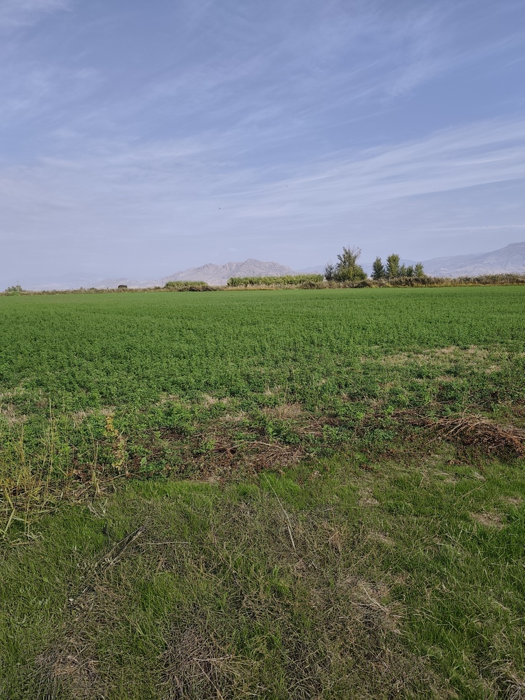 Αγροτεμάχιο  σε πλειστηριασμό Δήμος Κιλελέρ