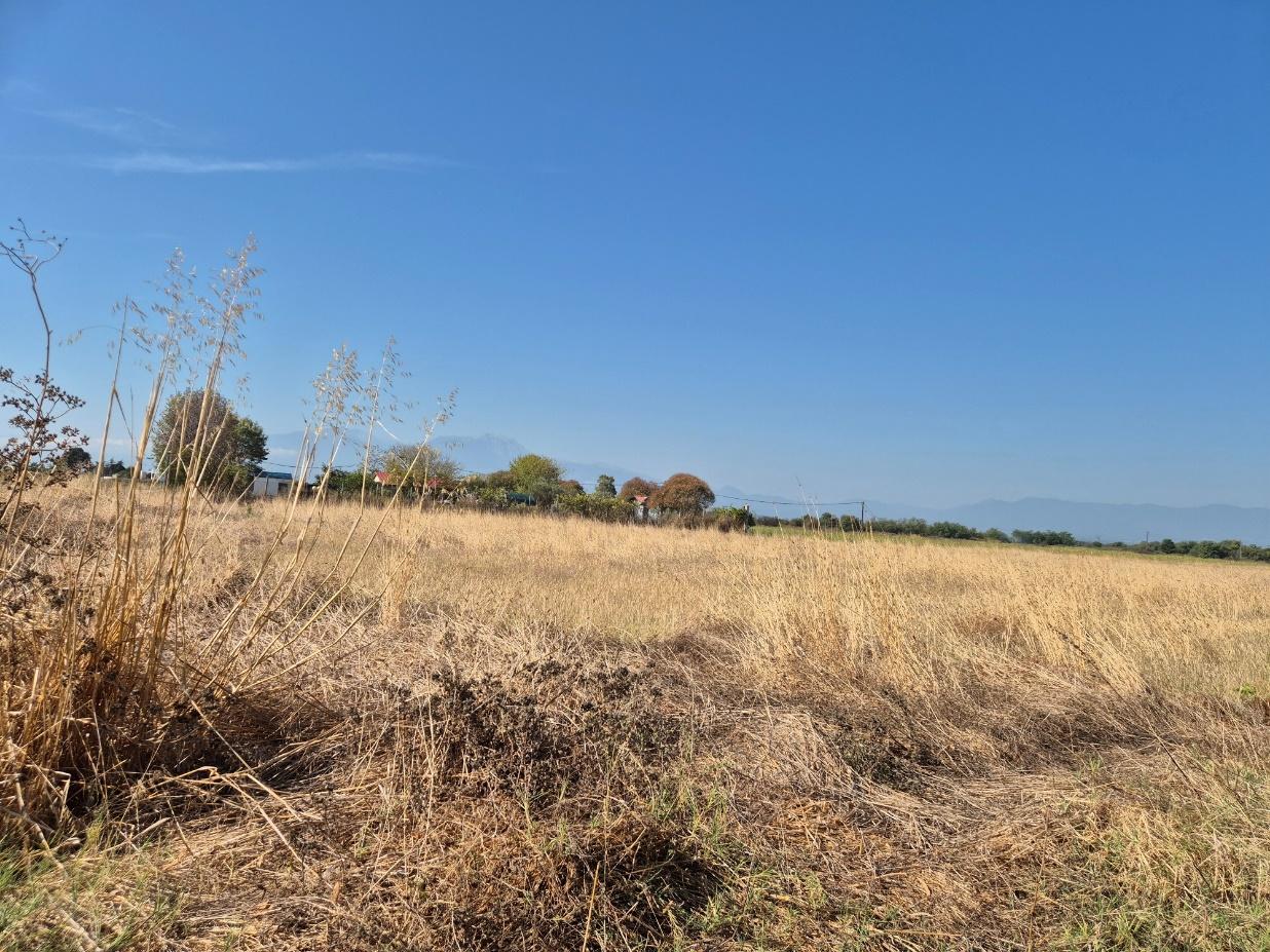 Αγροτεμάχιο  σε πλειστηριασμό Δήμος Κατερίνης