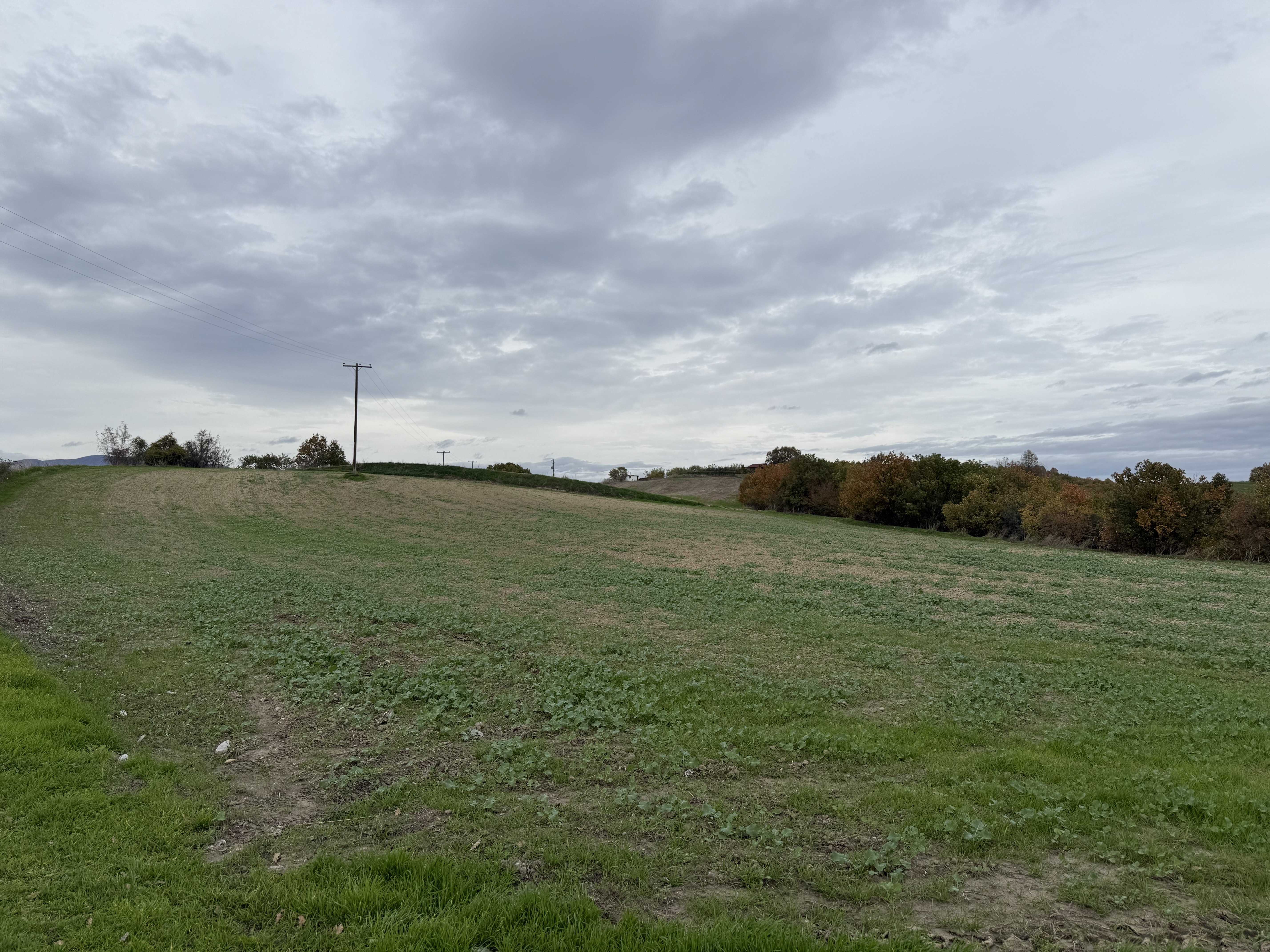 Αγροτεμάχιο  σε πλειστηριασμό Δήμος Κατερίνης