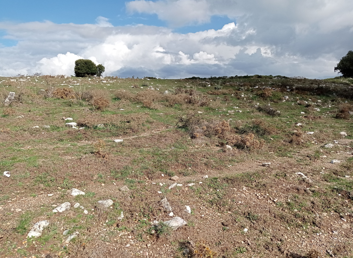 Αγροτεμάχιο 625 sq.m. σε πλειστηριασμό Municipality of Igoumenitsa