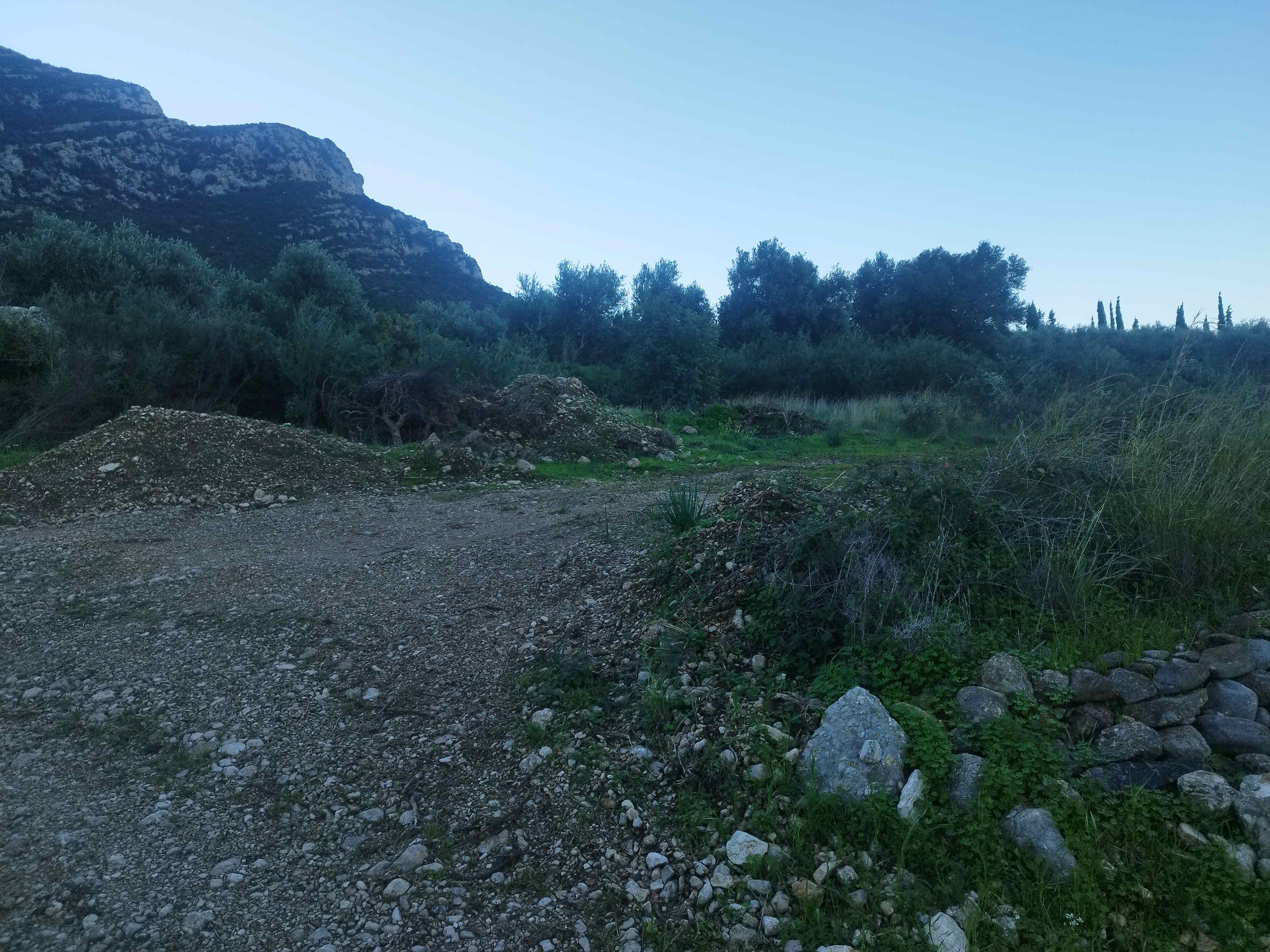 Οικόπεδο  σε πλειστηριασμό Municipality of Trifylia