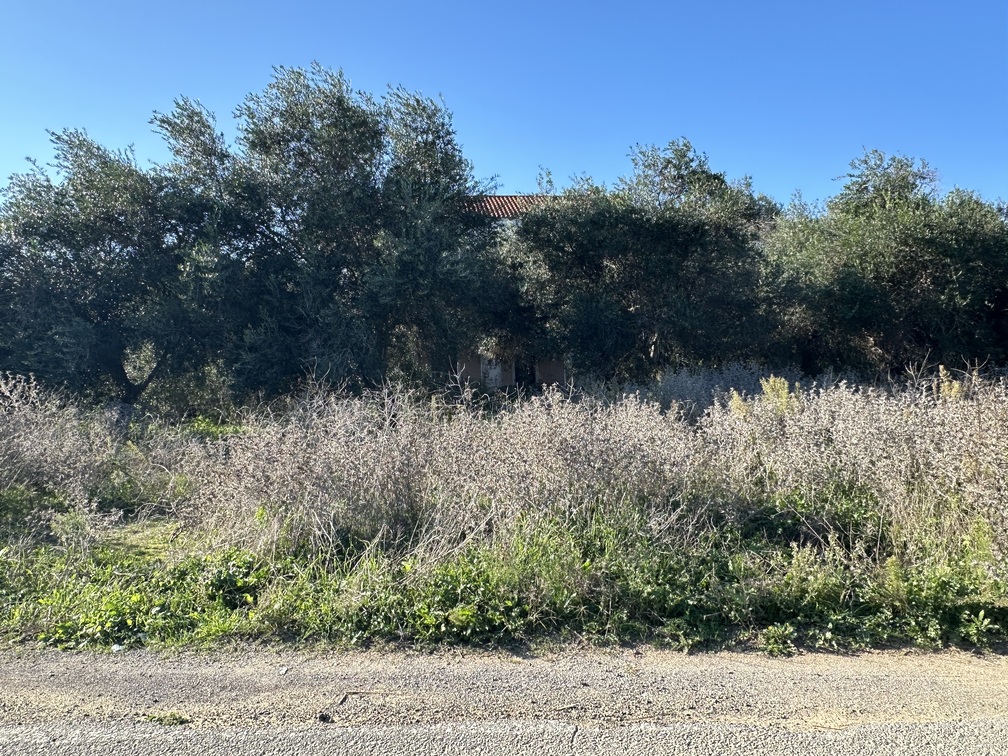 Οικόπεδο με κτίσμα  σε πλειστηριασμό Δήμος Κέρκυρας