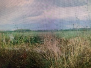 Αγροτεμάχιο  σε πλειστηριασμό Δήμος Καλαμάτας