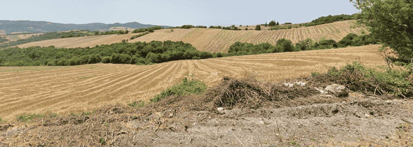 Αγροτεμάχιο  σε πλειστηριασμό Δήμος Πύδνας - Κολινδρού