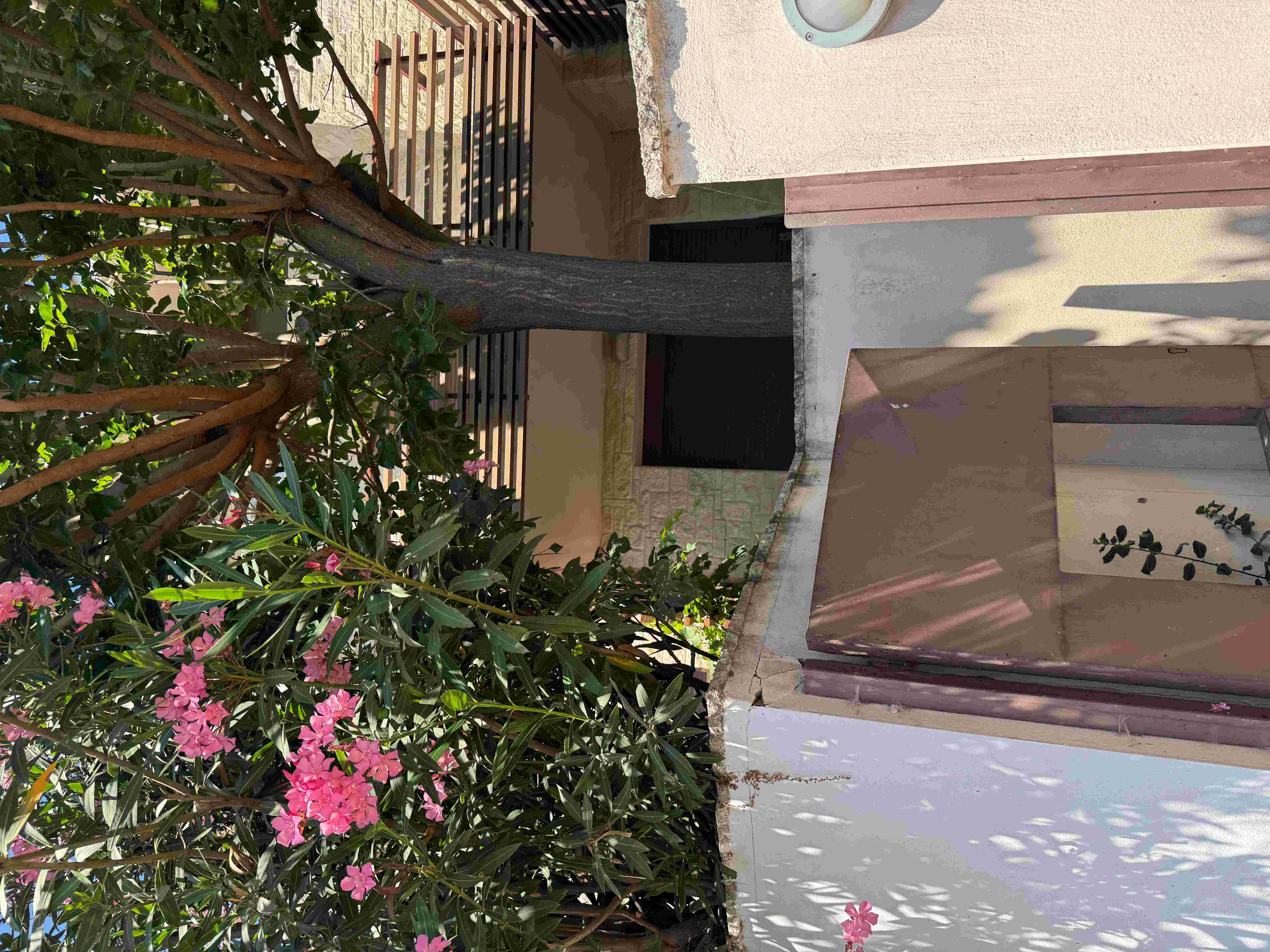 Οικόπεδο με κτίσμα 945.14 τ.μ. σε πλειστηριασμό Δήμος Σιθωνίας