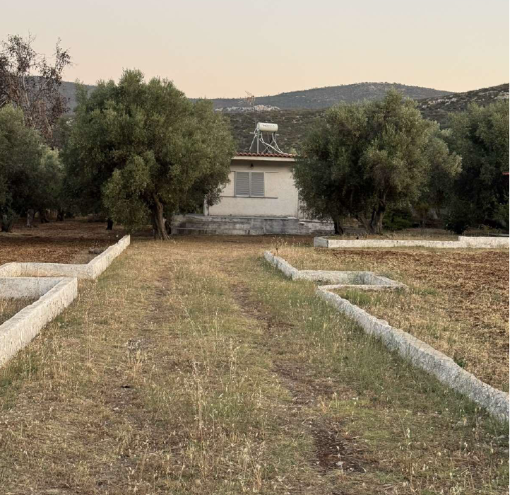 Οικόπεδο με κτίσμα  σε πλειστηριασμό Municipality of Mandra - Idyllia