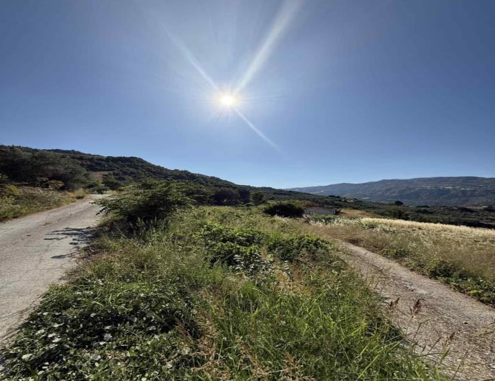 Αγροτεμάχιο 1500 τ.μ. σε πλειστηριασμό Δήμος Ξυλοκάστρου - Ευρωστίνης