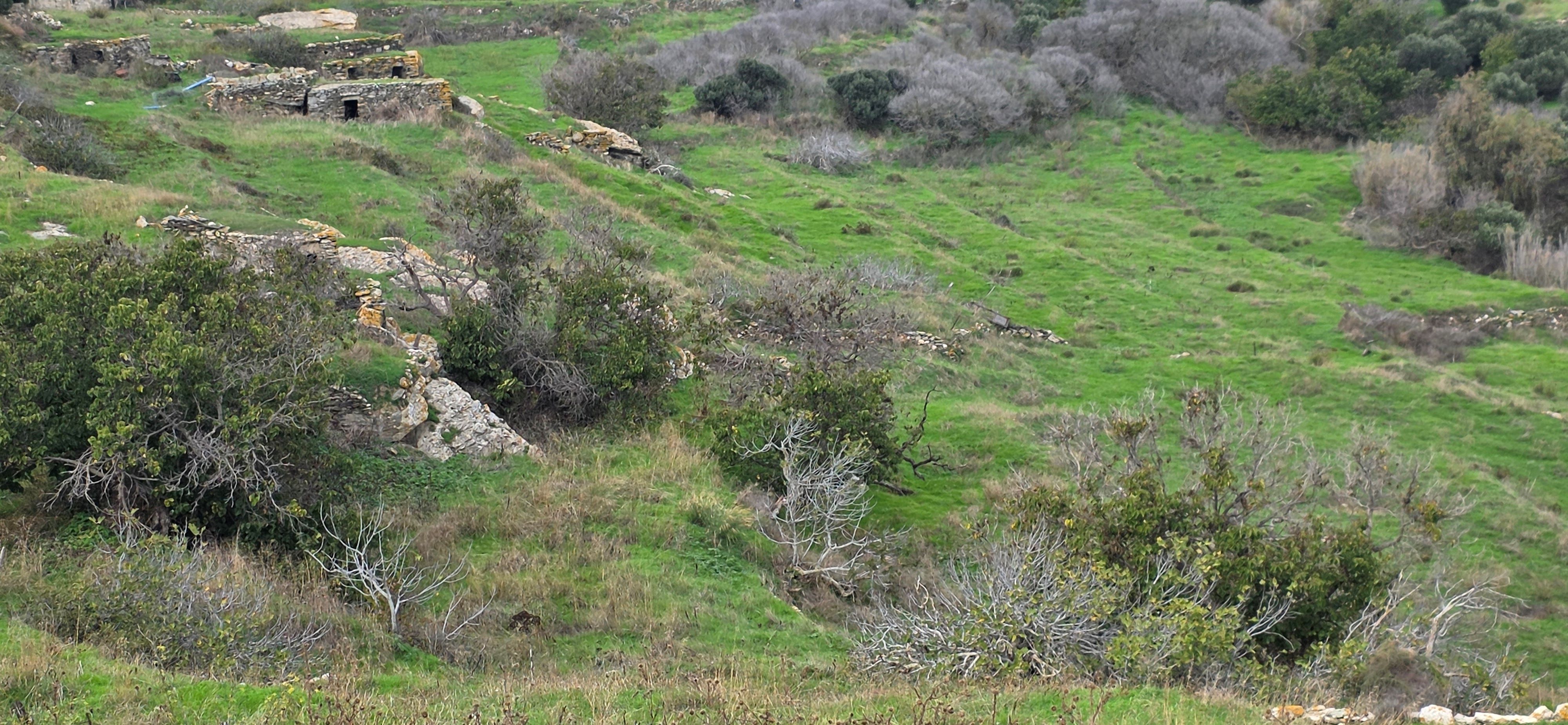 Αγροτεμάχιο  σε πλειστηριασμό Municipality of Tinos