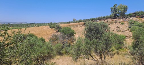 Αγροτεμάχιο  σε πλειστηριασμό Municipality of Mylopotamos