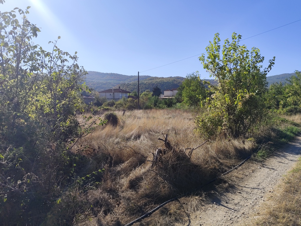 Αγροτεμάχιο  σε πλειστηριασμό Δήμος Αλμωπίας