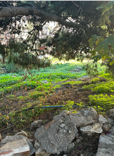Οικόπεδο  σε πλειστηριασμό Δήμος Νικαίας - Αγίου Ιωάννου Ρέντη