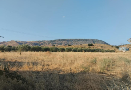 Αγροτεμάχιο  σε πλειστηριασμό Δήμος Φαρκαδόνας