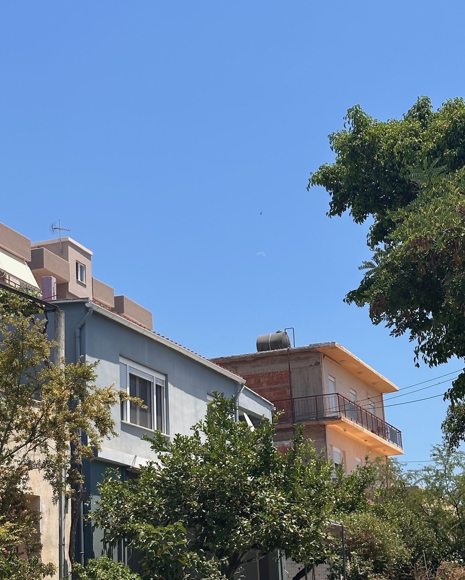 Κατοικία  σε πλειστηριασμό Δήμος Χανίων