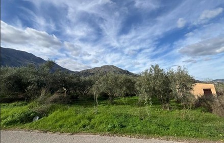 Αγροτεμάχιο  σε πλειστηριασμό Δήμος Αποκορώνου 