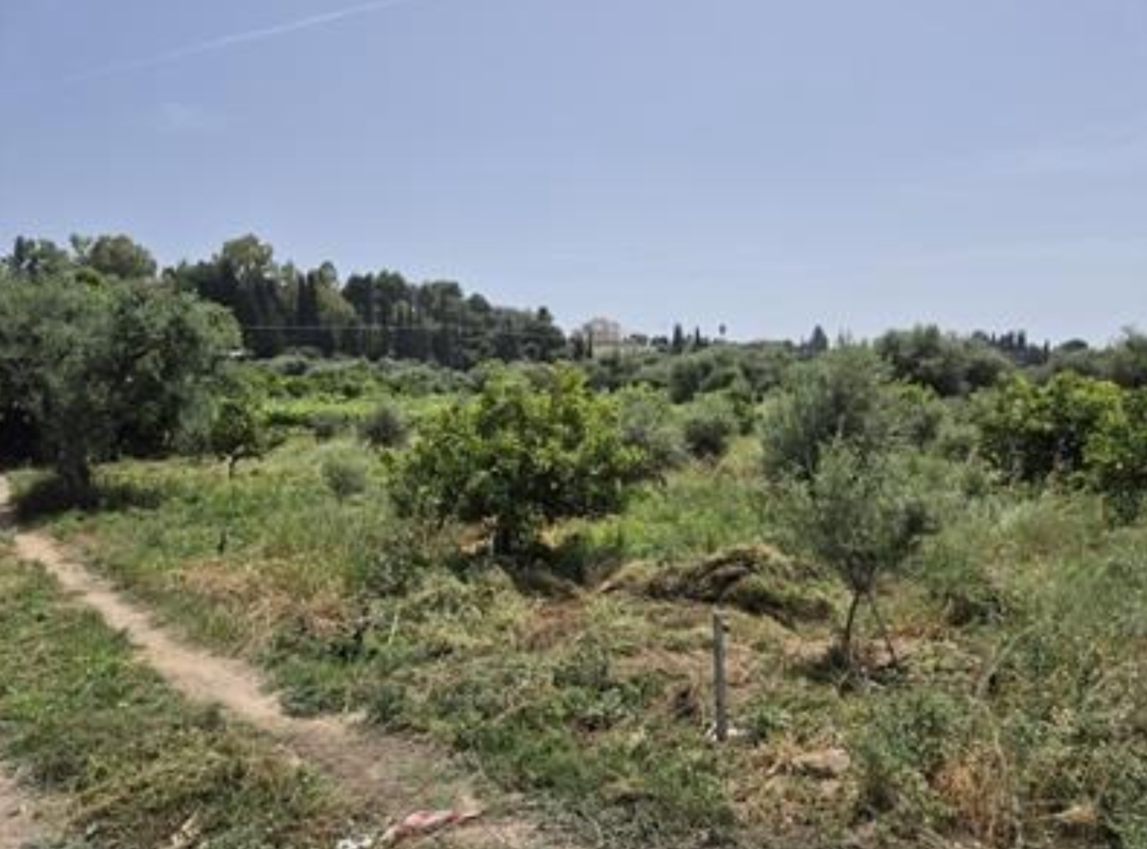 Αγροτεμάχιο  σε πλειστηριασμό Δήμος Δυτικής Αχαΐας