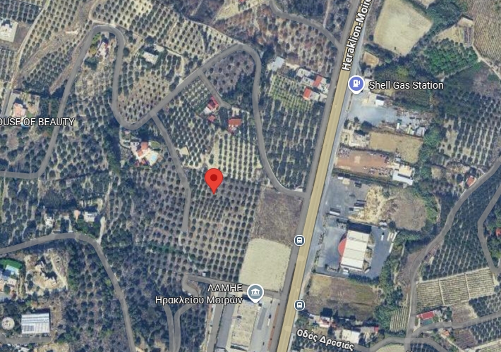 Aγροτεμάχιο 4.500 τ.μ.