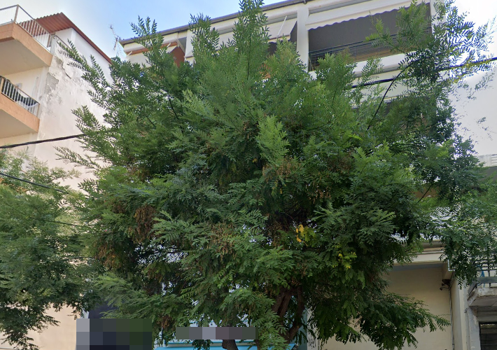 Διαμέρισμα 42 τ.μ.