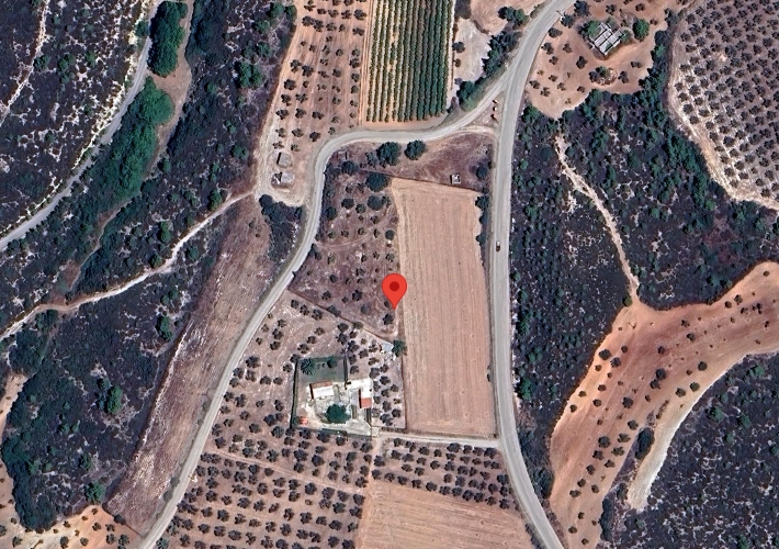 Αγροτεμάχιο - ελαιώνας 8.162 τ.μ.