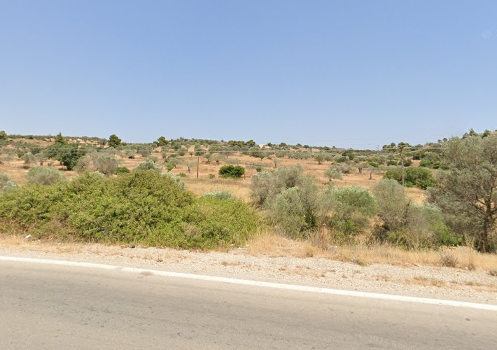 Αγροτεμάχιο 7.000 τ.μ.