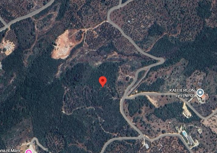 Αγροτεμάχιο - ελαιώνας 8.101 τ.μ.