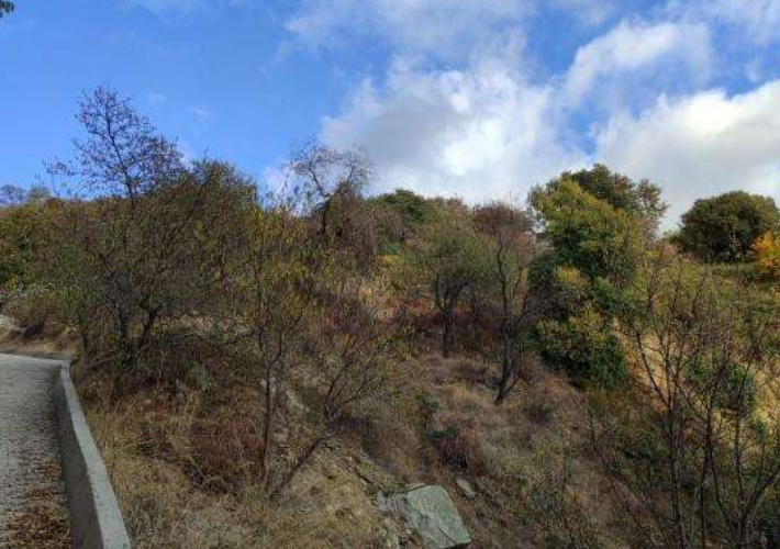 Οικόπεδο 726 τ.μ.