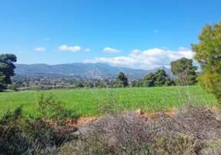 Αγροτεμάχιο 18.817 τ.μ.