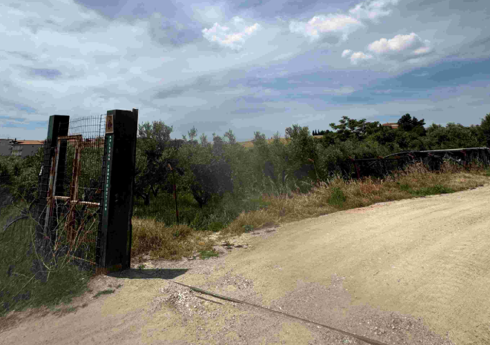 Αγροτεμάχιο - ελαιώνας 2.690 τ.μ.