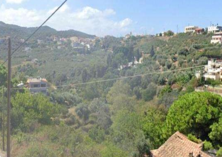 Αγροτεμάχιο 4.822 τ.μ.