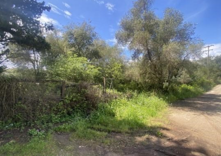 Αγροτεμάχιο 4.163 τ.μ.