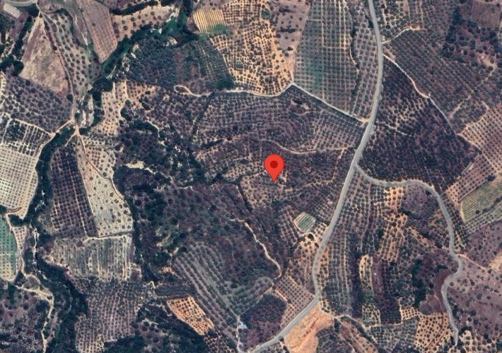Αγροτεμάχιο - ελαιώνας 18.973 τ.μ.