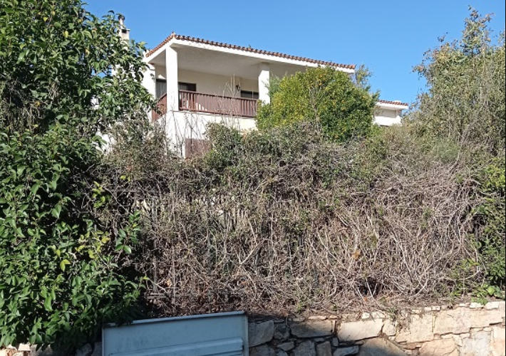 Μονοκατοικία 450 τ.μ. με πισίνα