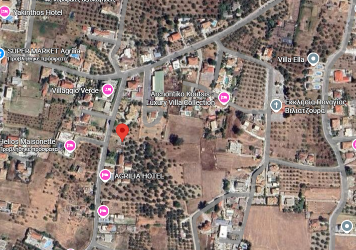 Αγροτεμάχιο - ελαιώνας 1.265 τ.μ.