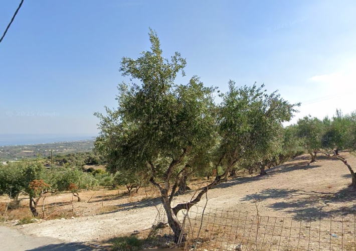 Αγροτεμάχιο 12.777 τ.μ.