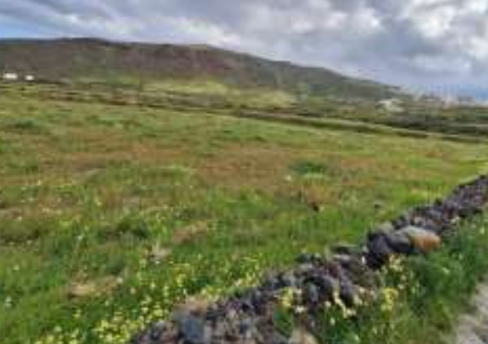 Αγροτεμάχιο 4.231 τ.μ.