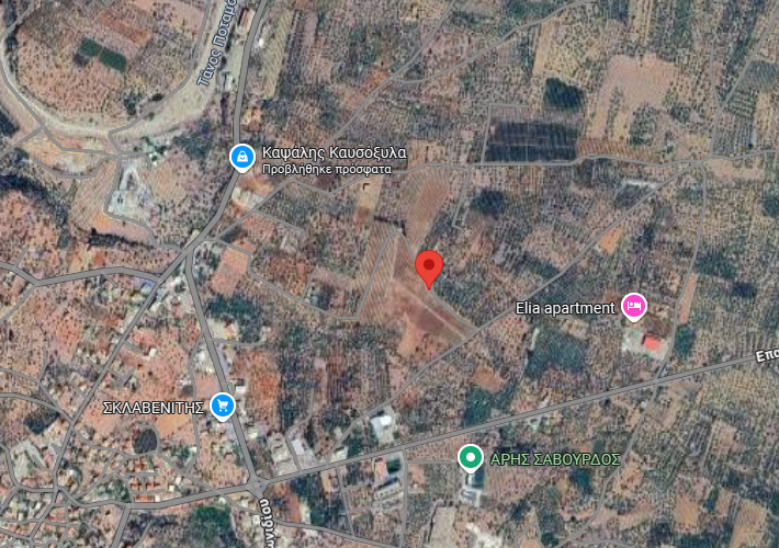 Αγροτεμάχιο – ελαιώνας 25.873 τ.μ.