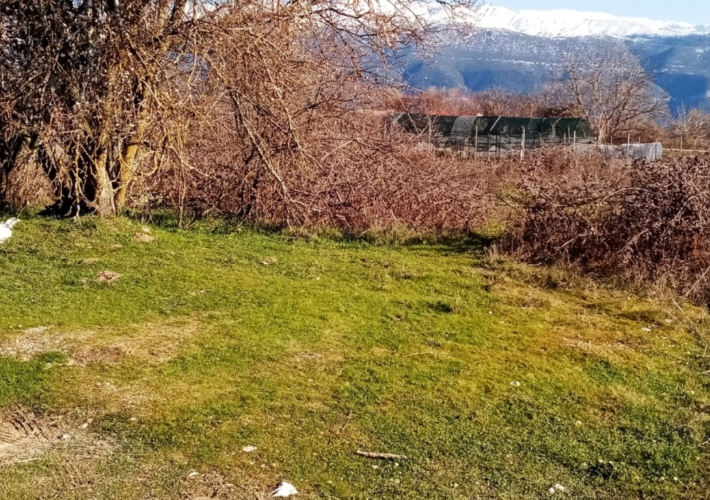 Οικόπεδο 651 τ.μ.