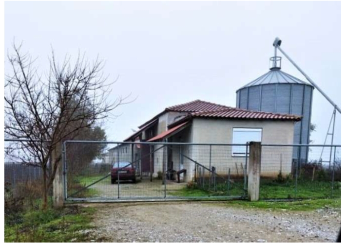 Κτηνοτροφική μονάδα 1.305 τ.μ.