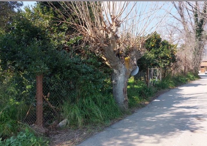 Μονοκατοικία 258 τ.μ.