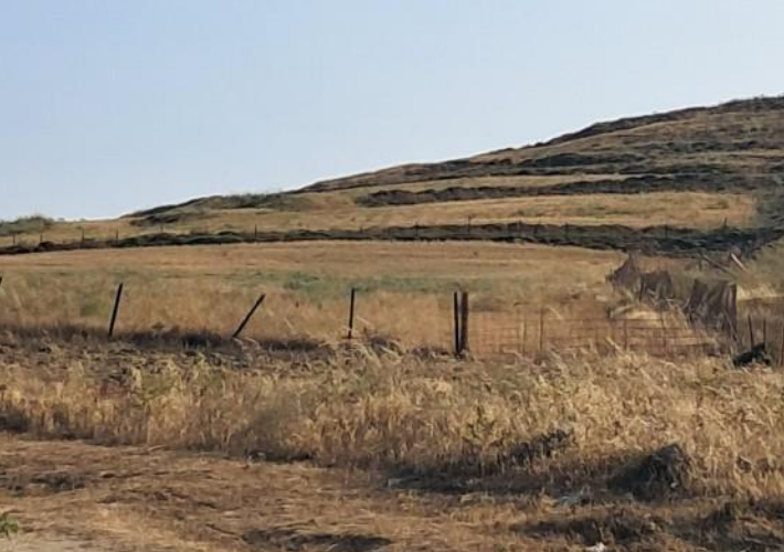 Αγροτεμάχιo 71.250 τ.μ.