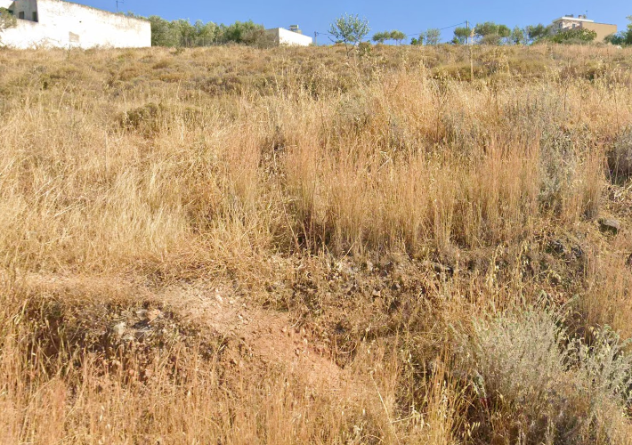 Οικόπεδο 1.337 τ.μ.